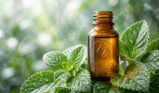 Amazonian Matico: The Amazing Tissue Regenerator for Irritated Skin