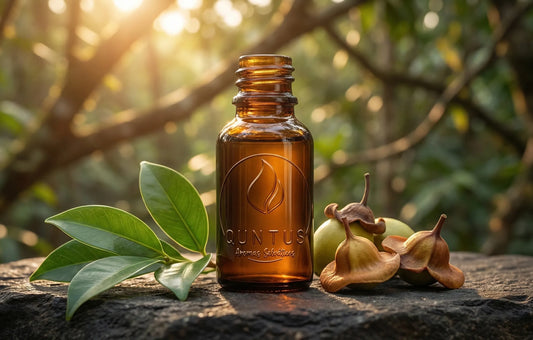 Ishpingo (Amazonian Cinnamon): The Antioxidant Shield for Clean Cosmetics