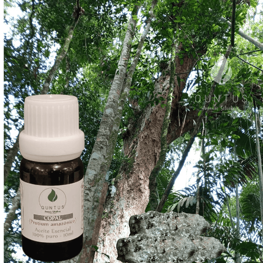Copal Essential Oil (Protium amazonico)